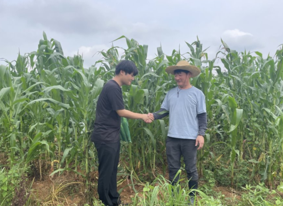 광주 옥수수 농가 방문 및 MOU 체결